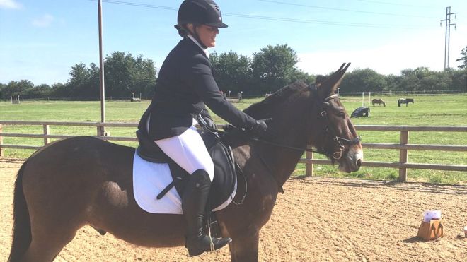 British Dressage Change Rules Allowing Mules to Compete